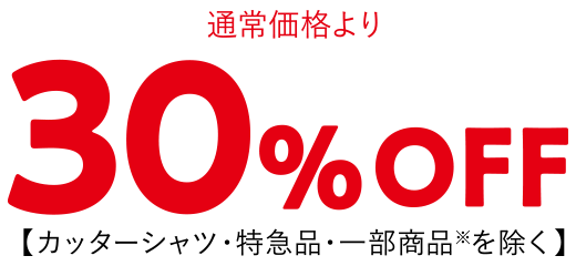 通常価格より 30%OFF 【カッターシャツ・特急品・一部商品※を除く】